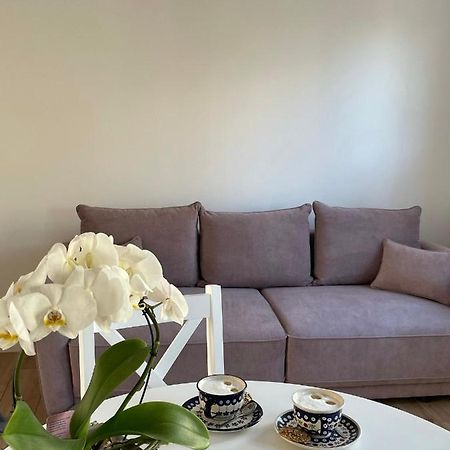 Apartament -Dwudziestka Sandomir Extérieur photo